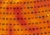 cartina cromatica con volori delle temperature