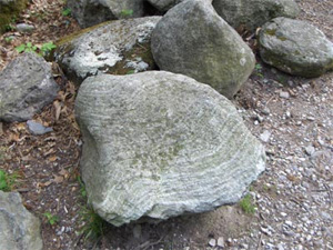 roccia di maiolica